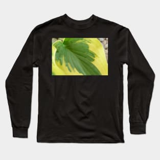 Hosta  'Wide Brim'  Plantain lily Long Sleeve T-Shirt